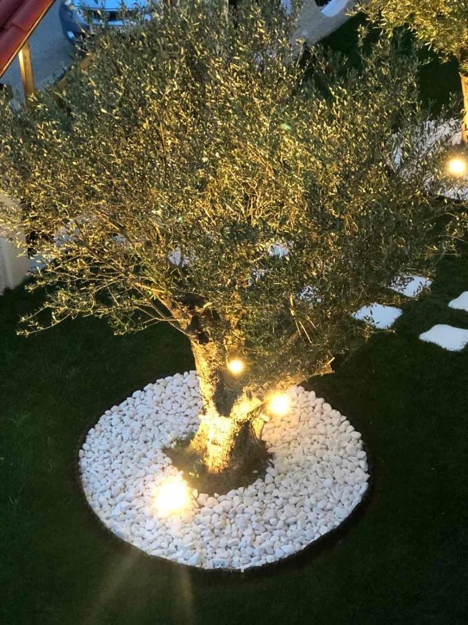 Amaryllis Luxury Rooms Platamónasz Kültér fotó